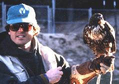Color photograph of Gary holding a hawk that he has trained