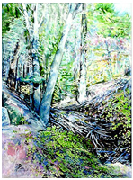 Watercolor of Daley Canyon in the spring 