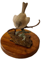 Bronze sculpture of a bird, the California Gnat Catcher, on an oak branch 