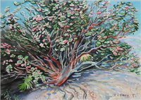 Watercolor of a single Mountain Manzanita in bloom in the spring